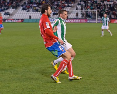 CORDOBA, SPAIN - JANUARY 13:Sebastián Dubarbier W(16) in action during match league Cordoba(W) vs Numancia (R)(1-0) at the Municipal Stadium of the Archangel on January 13, 2013 in Cordoba Spain