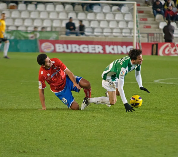 Cordoba, Spanyolország - január 13:vincenzo rennella w(12) in action közben mérkőzés bajnokság cordoba(w) vs numancia (r)(1-0): a városi stadion az arkangyal a 2013. január 13., cordoba, Spanyolország — Stock Fotó