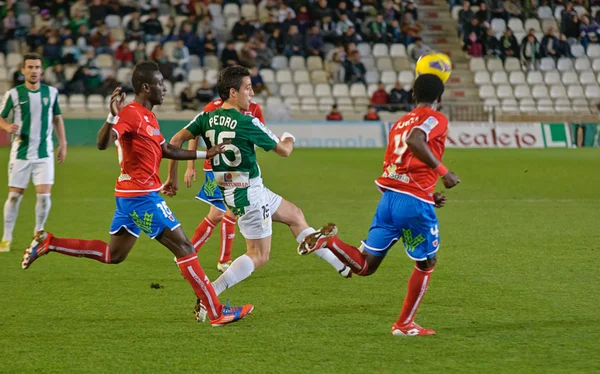 CORDOBA, ESPAÑA - 13 DE ENERO: Pedro Sánchez W (15) en acción durante el partido Córdoba (W) vs Numancia (R) (1-0) en el Estadio Municipal del Arcángel el 13 de enero de 2013 en Córdoba España —  Fotos de Stock