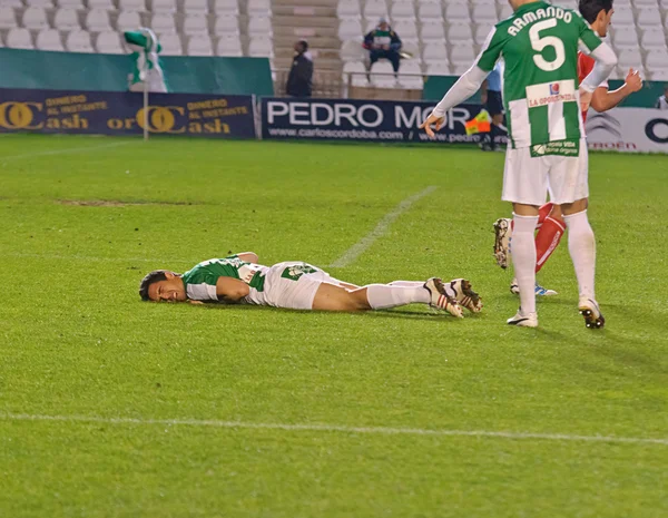 CORDOBA, SPAIN - JANUARY 13:Pedro Sánchez W(15) in action during match league Cordoba(W) vs Numancia (R)(1-0) at the Municipal Stadium of the Archangel on January 13, 2013 in Cordoba Spain — Stock fotografie