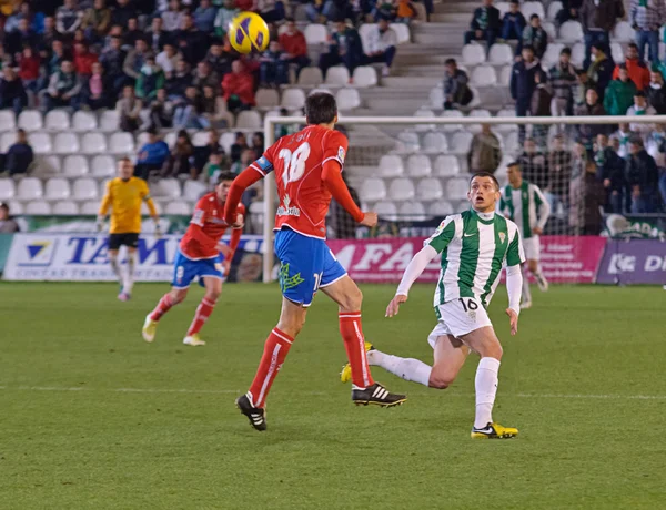 CORDOBA, SPAGNA - 13 GENNAIO: Egoitz Jaio R (18) in azione durante la partita di campionato Cordoba (W) vs Numancia (R) (1-0) allo stadio comunale dell'Arcangelo il 13 gennaio 2013 a Cordoba Spagna — Foto Stock