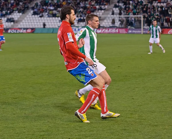 CORDOBA, SPAIN - JANUARY 13:Sebastián Dubarbier W(16) in action during match league Cordoba(W) vs Numancia (R)(1-0) at the Municipal Stadium of the Archangel on January 13, 2013 in Cordoba Spain — стокове фото