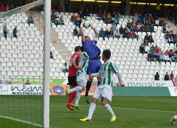 CORDOBA, SPAGNA - 29 MARZO: Casto R (1) in azione durante la partita di campionato Cordoba (W) vs Murcia (R) (1-1) allo stadio comunale dell'Arcangelo il 29 marzo 2014 — Foto Stock