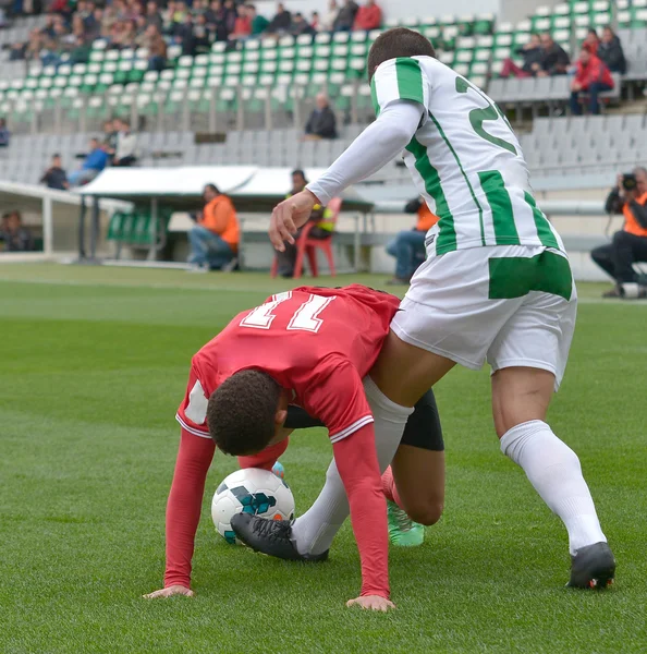 Fotbaloví hráči hrát míč — Stock fotografie