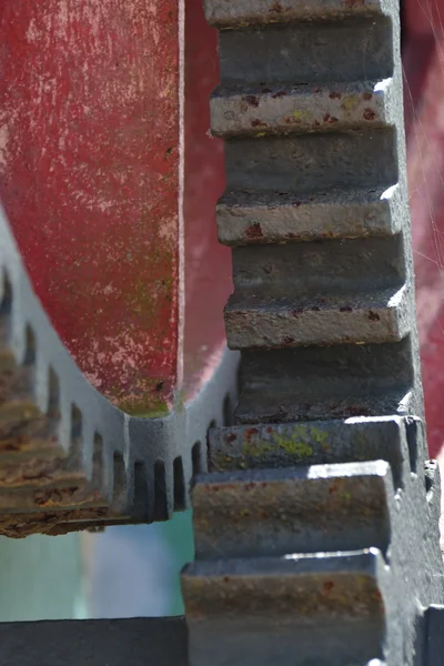 Roues dentées en gros plan — Photo