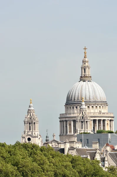 St Pauls cathedral with trees in foreground — Stock Photo, Image