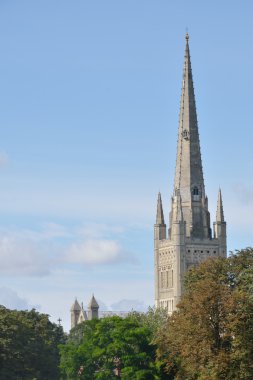 Norwich Cathedral Spire clipart