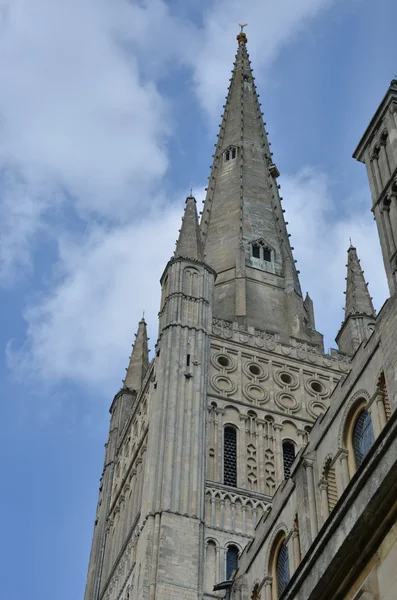 Wieża katedry Norwich, patrząc na — Zdjęcie stockowe