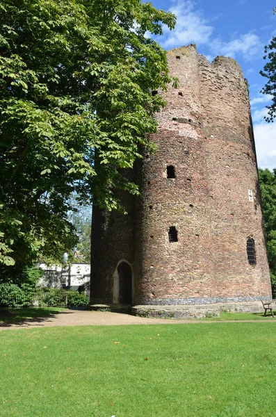 Dělostřelecká věž kráva blokovat norwich norfolk — Stock fotografie