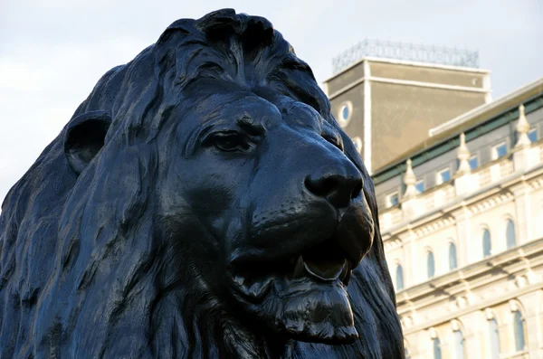 Leão na praça trafalgar — Fotografia de Stock