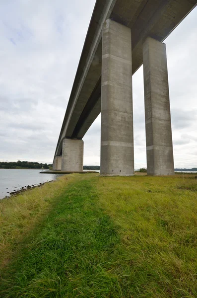 Orwell Bridge with grass in foreground — Stock Photo, Image