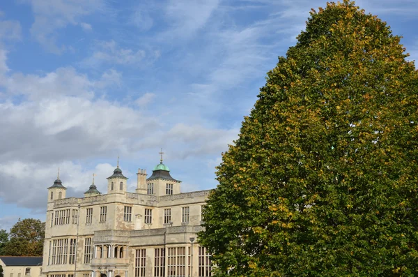 Stately home with tree — Stock Photo, Image