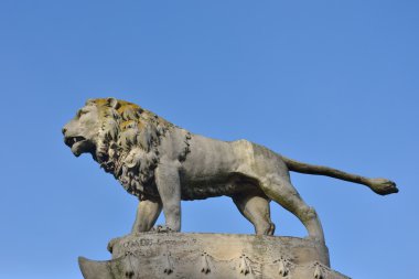 açık havada taş aslan