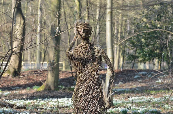 Větvička žena v lese — Stock fotografie