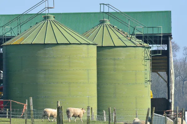 Green food storage silo — Stock Photo, Image