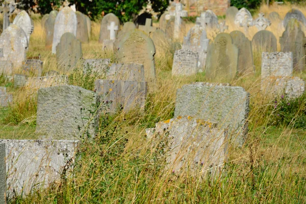 Stor grupp av gravstenar i gräs — Stockfoto
