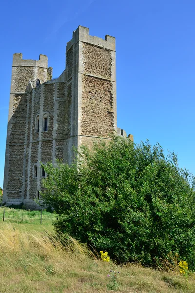 Castello normanno con albero in primo piano — Foto Stock