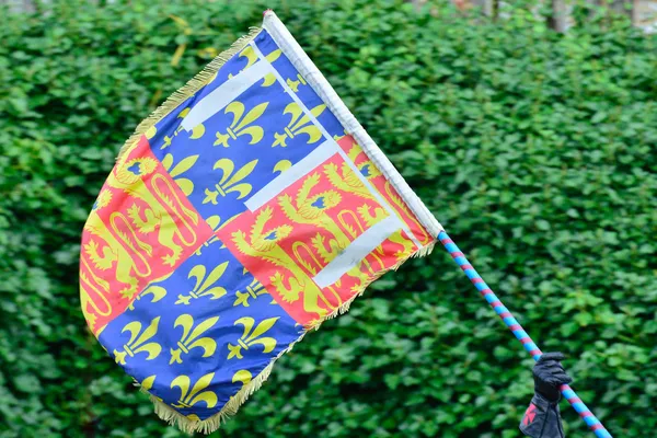 Bandera heráldica ondeando — Foto de Stock