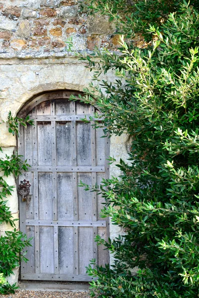 Old wooden Door — Stock Photo, Image