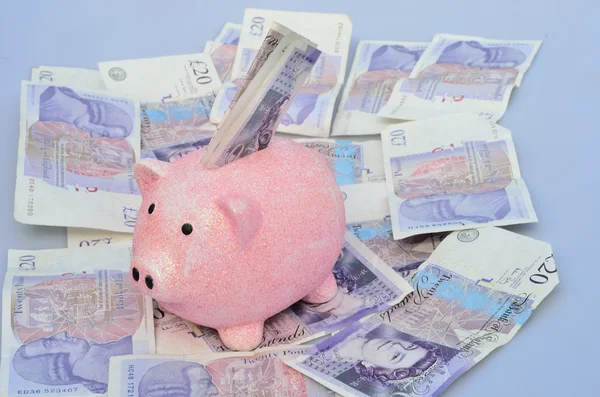 Pig over Money with some in slot — Stock Photo, Image