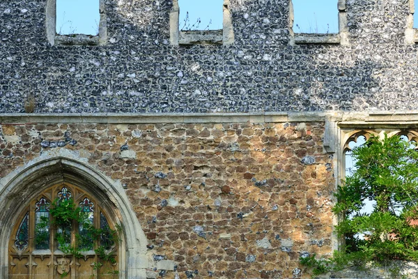 Château Mur arche et porte — Photo
