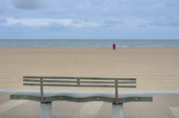 Prázdné lavice s výhledem na pláž — Stock fotografie