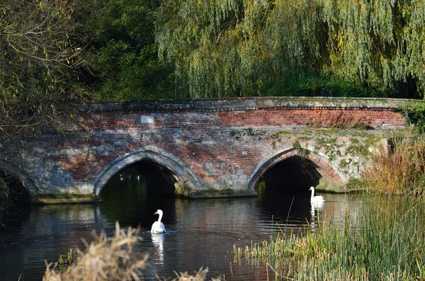 Rode bakstenen brug met zwanen — Stockfoto