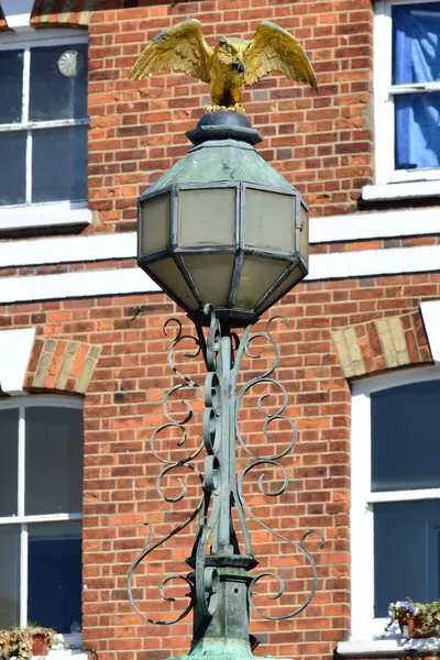 Owl on street lamp — Stock Photo, Image