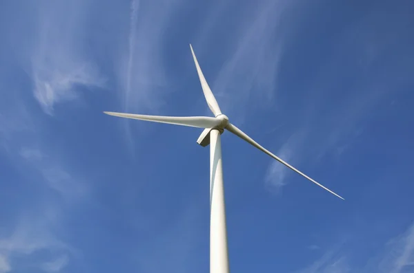 Une seule éolienne — Photo