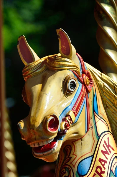 Retrato de caballo fairgound — Foto de Stock