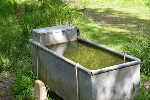 Abrevadero de agua potable para ganado — Foto de Stock