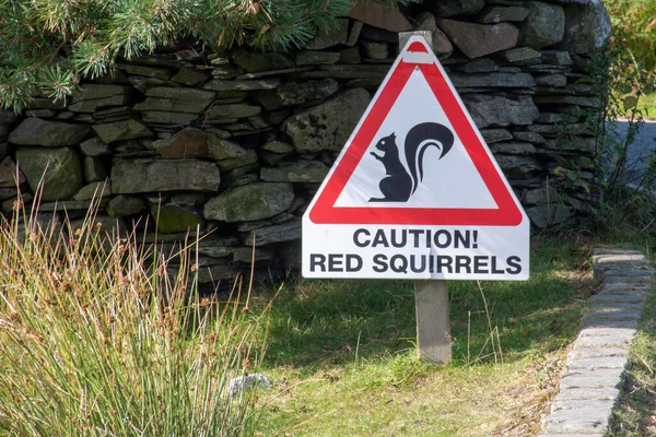 Προσοχή Σημάδι Για Κόκκινα Σκίουροι — Φωτογραφία Αρχείου
