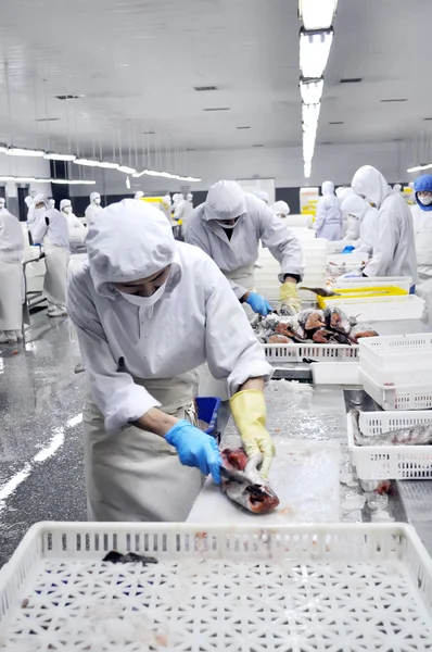 Salmon processing plant — Stock Photo, Image