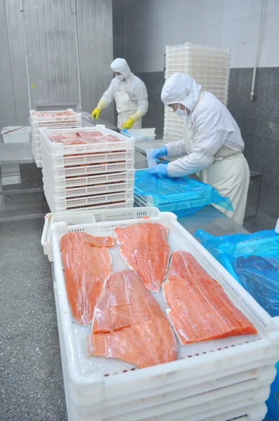 Zalm verwerkingsbedrijf — Stockfoto