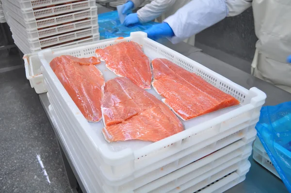 Zalm verwerkingsbedrijf — Stockfoto