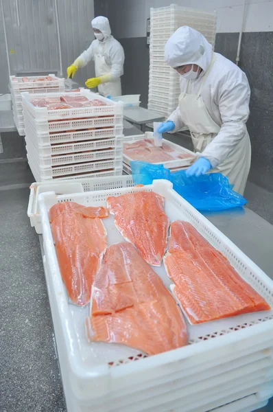 Salmon processing plant — Stock Photo, Image