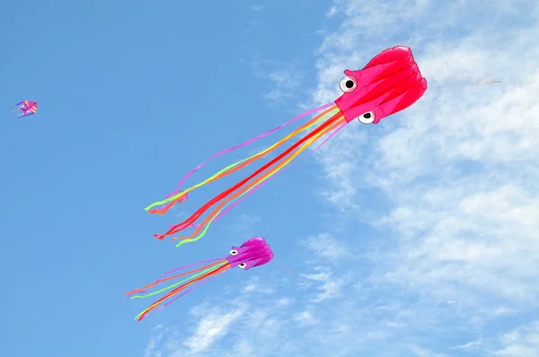 Octopus kite — Stock Photo, Image