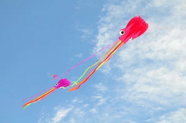 Octopus kite — Stock Photo, Image