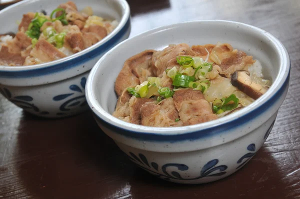 Japanese Beef Rice — Stock Photo, Image