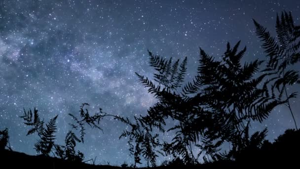 Yıldızlı Gece Gökyüzünün Göktaşlarıyla Kusursuz Bir Şekilde Çevrilebilir Videosu — Stok video