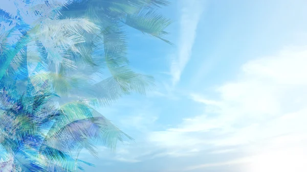 Hintergrund mit Palmen — Stockfoto