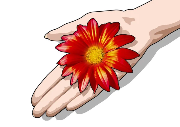 Fiore della mano — Foto Stock