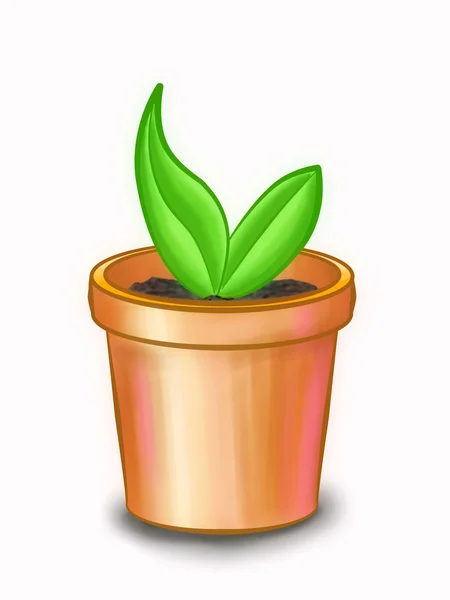 Flowerpot — Stock Photo, Image