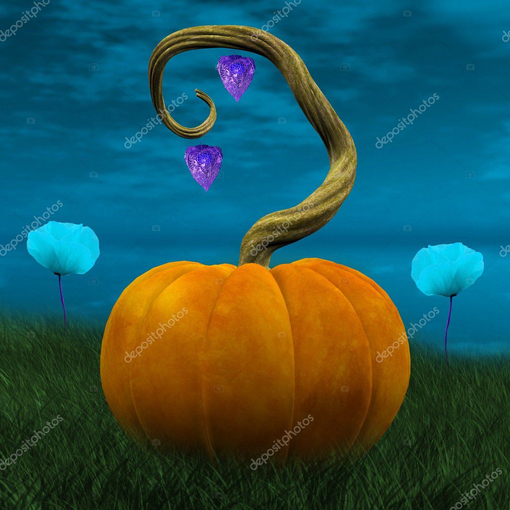 Autumn harvest - pumpkin.