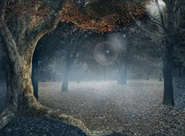 Autumnal forest with fog clipart