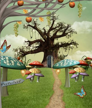 Wonderland patika