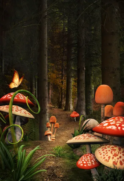 Série natureza encantada - Caminho dos cogumelos — Fotografia de Stock