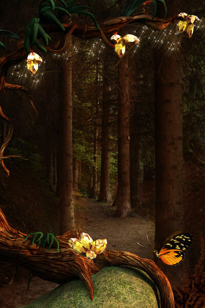 Enchanted nature series - Entrance to the deep forest