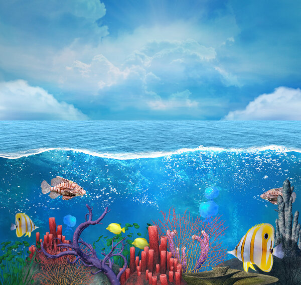 Coral reef background