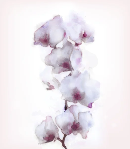 Watercolor orchid — Stock Vector